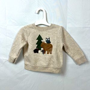 Boy’s Fleece Pullover Hoodie 6-9 mo